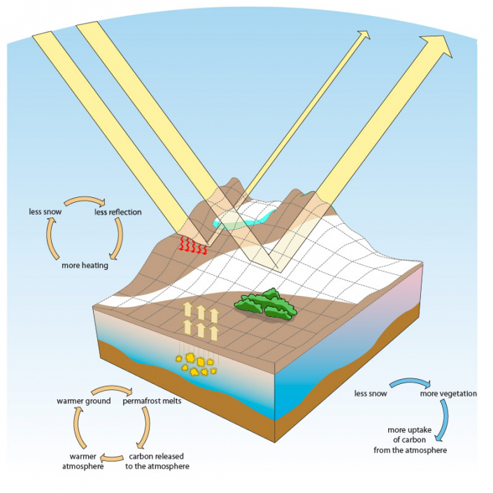 Diagram showing the albedo effect